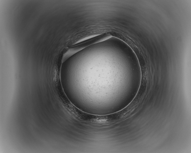 X0000116670651200912211604