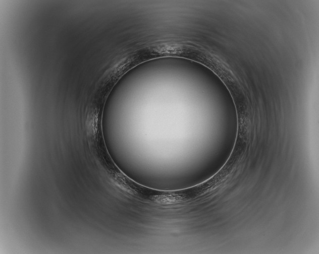 X0000116670652200912211604