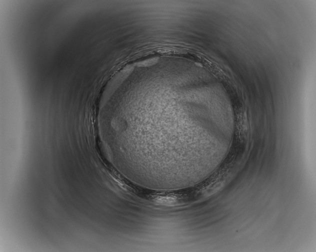 X0000116670653200912211604