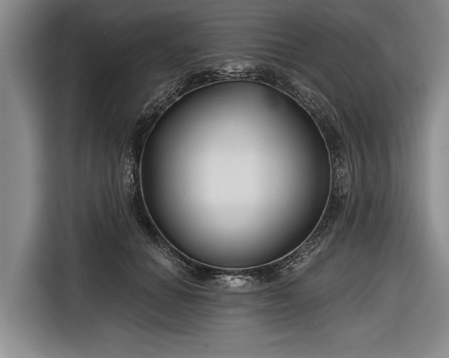 X0000116670654200912211604