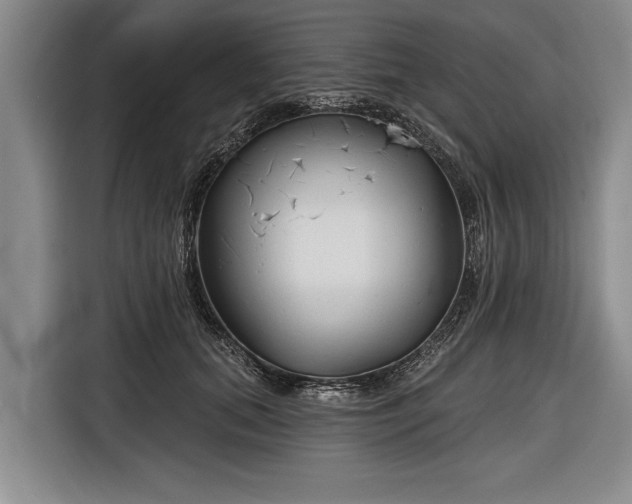 X0000116670655200912211604