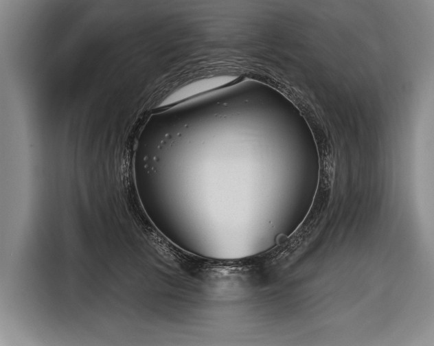 X0000116670657200912211604