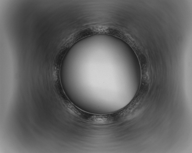 X0000116670658200912211604