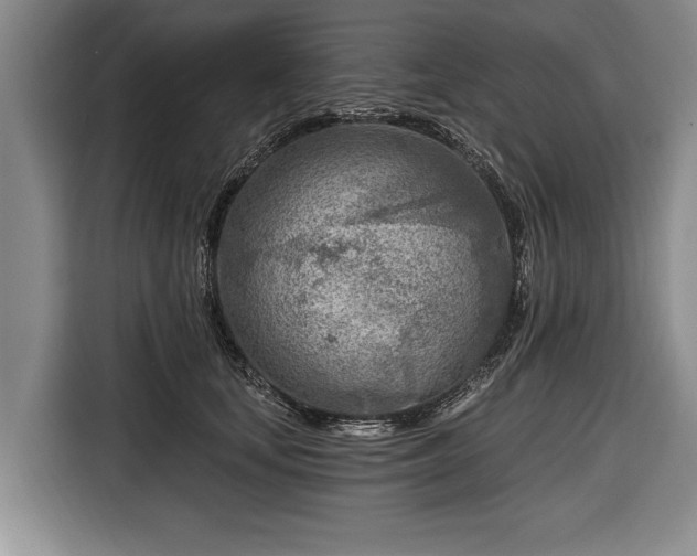 X0000116670659200912211604