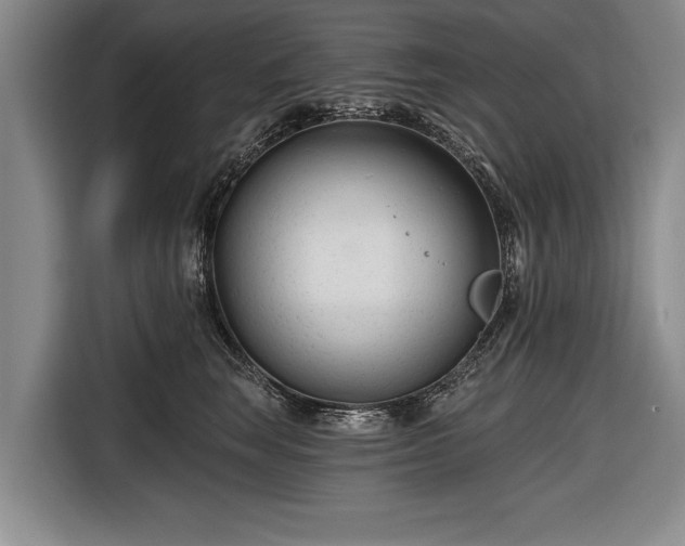 X0000116670663200912211605