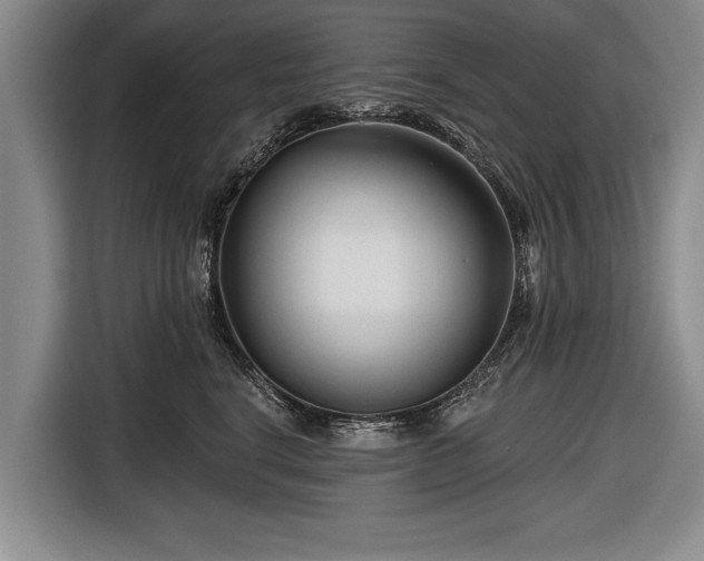 X0000116670664200912211605