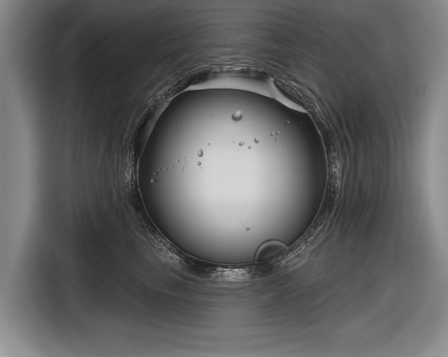 X0000116670665200912211605