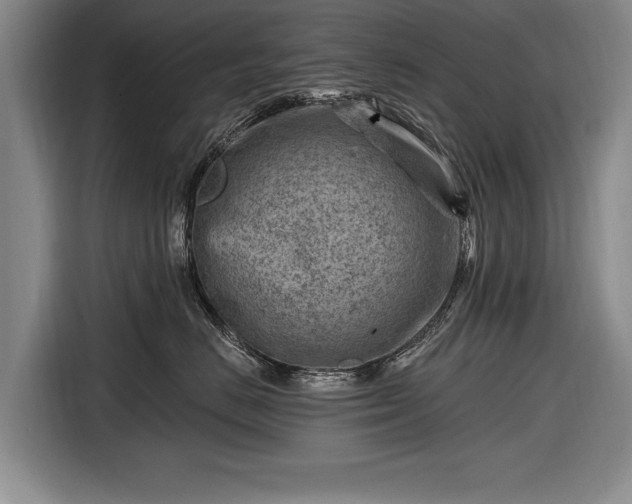 X0000116670670200912211605