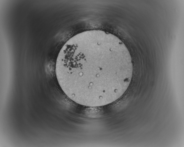 X0000116670672200912211605