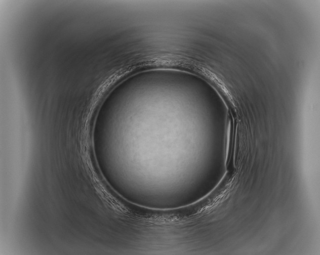 X0000116670673200912211604