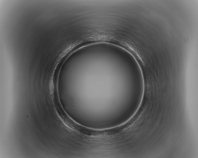 X0000116670674200912211604