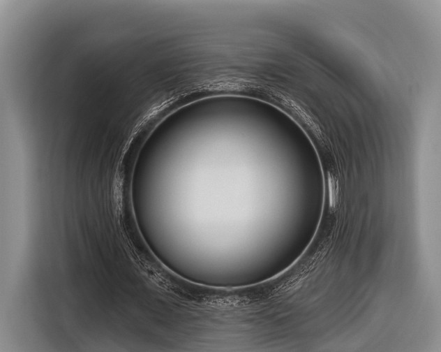 X0000116670675200912211604