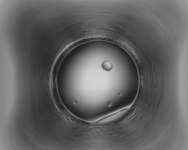 X0000116670676200912211604