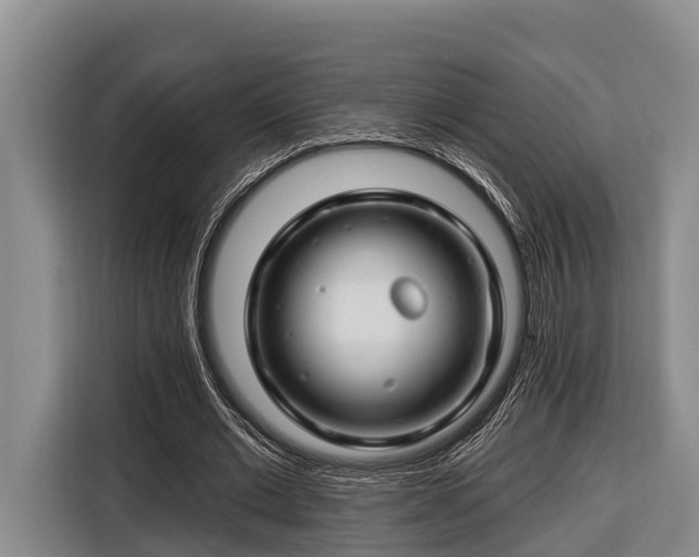 X0000116670677200912211604