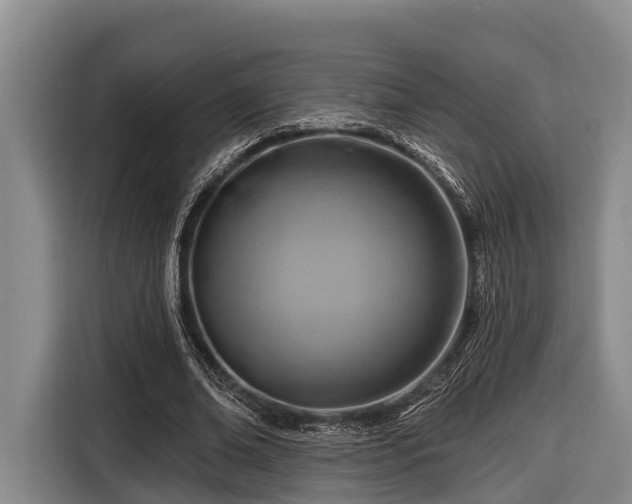 X0000116670678200912211604