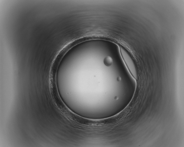 X0000116670680200912211604