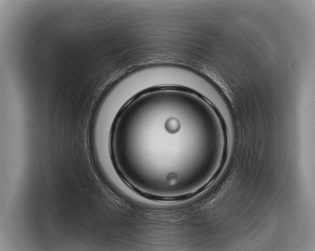 X0000116670681200912211604