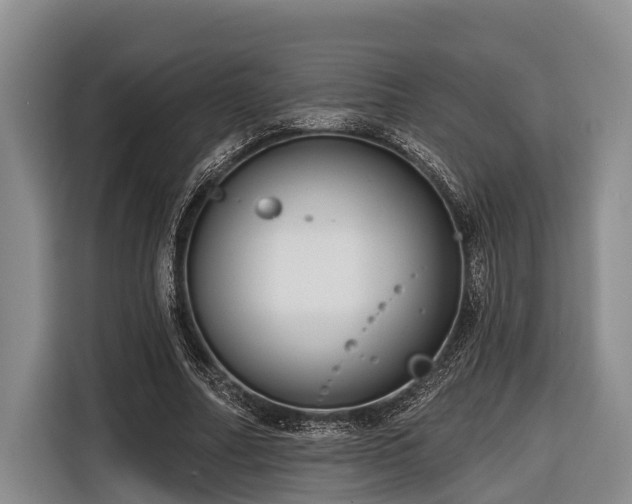 X0000116670682200912211604