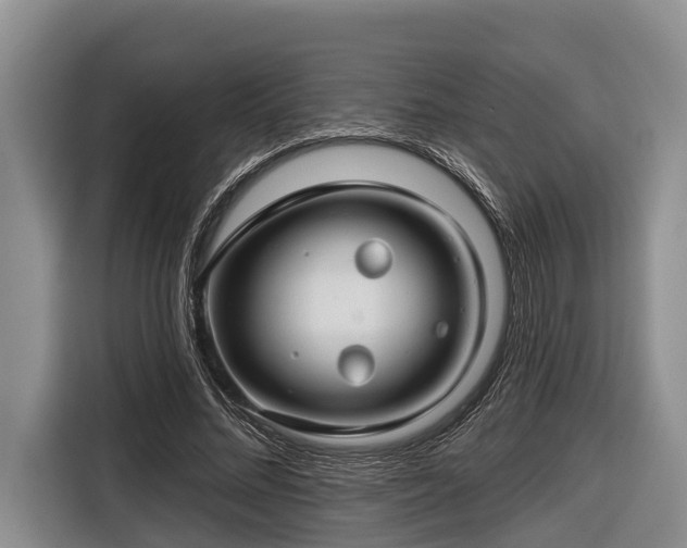 X0000116670684200912211604