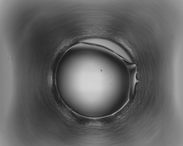 X0000116670685200912211604