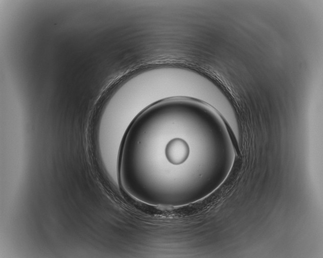 X0000116670688200912211604