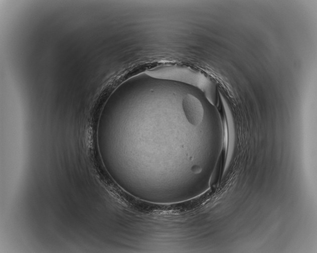 X0000116670689200912211604