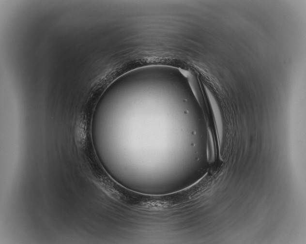 X0000116670691200912211604