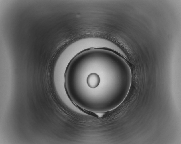 X0000116670692200912211604