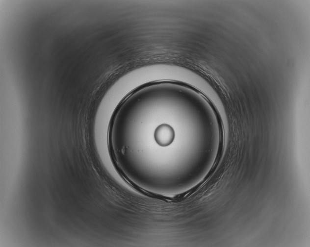 X0000116670693200912211604