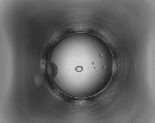 X0000116670695200912211604