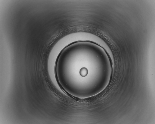 X0000116670696200912211604