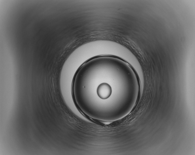 X0000116670697200912211604