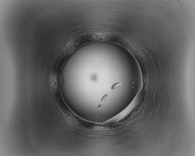 X0000116670699200912211604