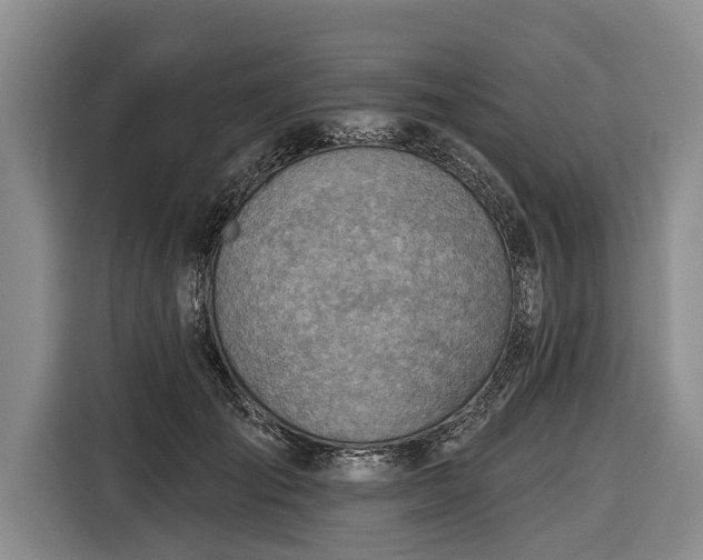 X0000116670701200912211604