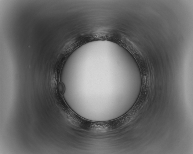 X0000116670702200912211604