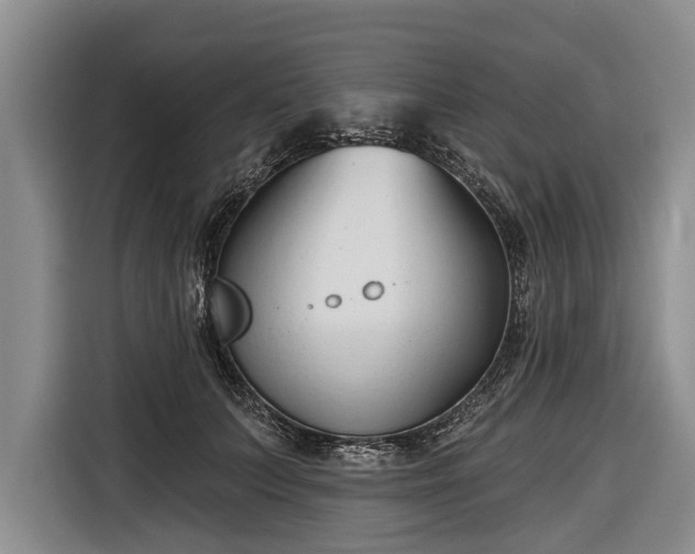 X0000116670703200912211604