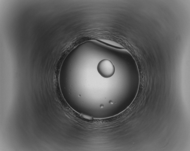 X0000116670704200912211604