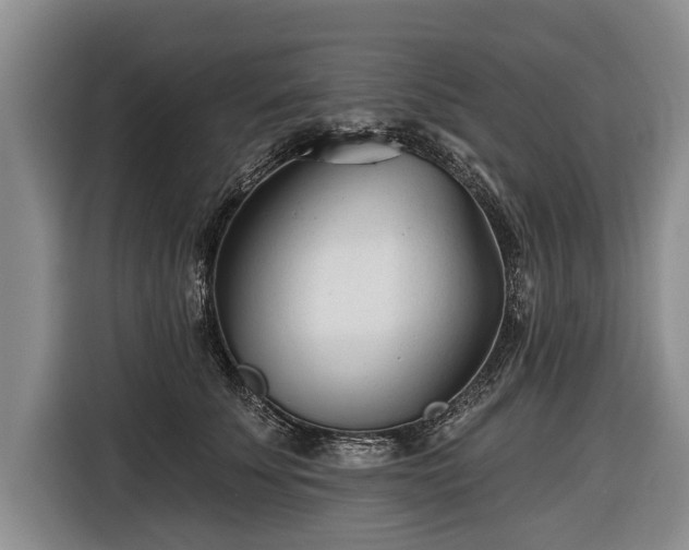 X0000116670707200912211604