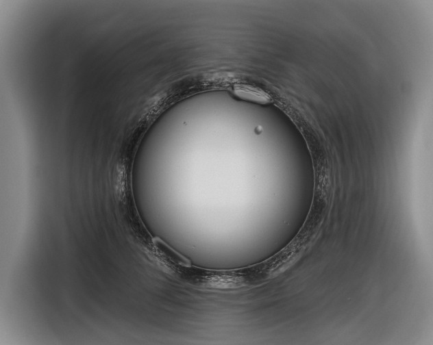 X0000116670708200912211604