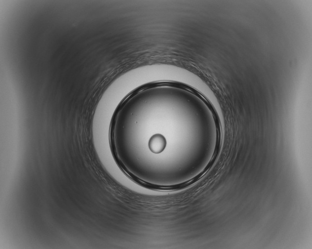 X0000116670709200912211604