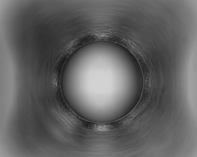 X0000116670710200912211604