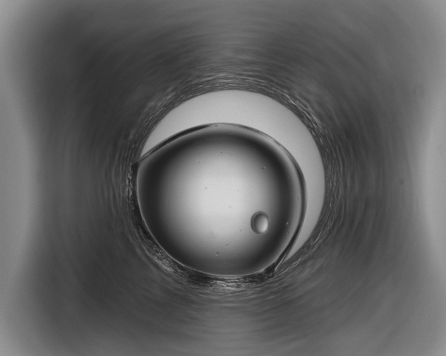 X0000116670713200912211604