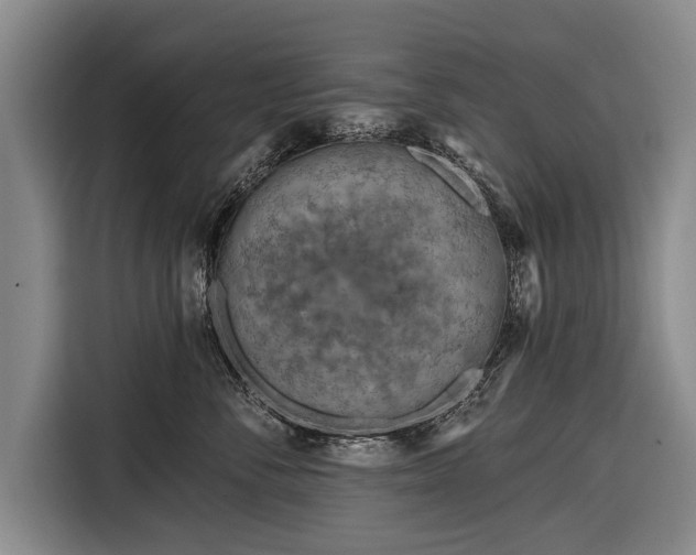 X0000116670716200912211603