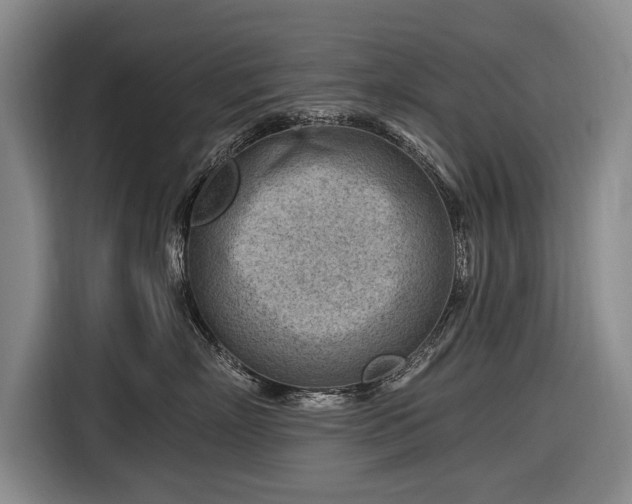 X0000116670718200912211603