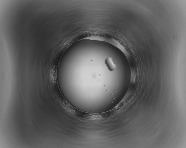 X0000116670719200912211603