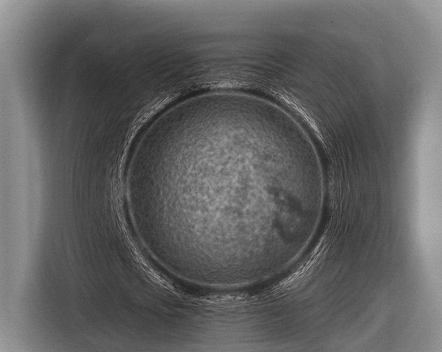 X0000116670721200912211603