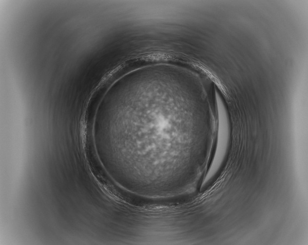 X0000116670722200912211603