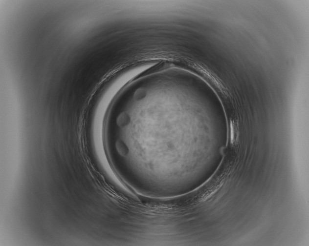 X0000116670723200912211603