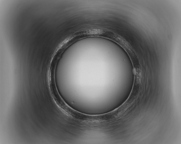 X0000116670726200912211603