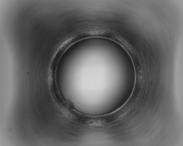 X0000116670727200912211603